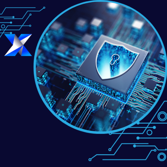 Cybersecurity & IT Surveillance