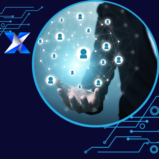 IT Network Management